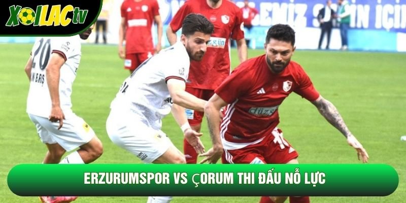 Erzurumspor vs Çorum thi đấu nỗ lực Erzurumspor vs Çorum thi đấu nỗ lực