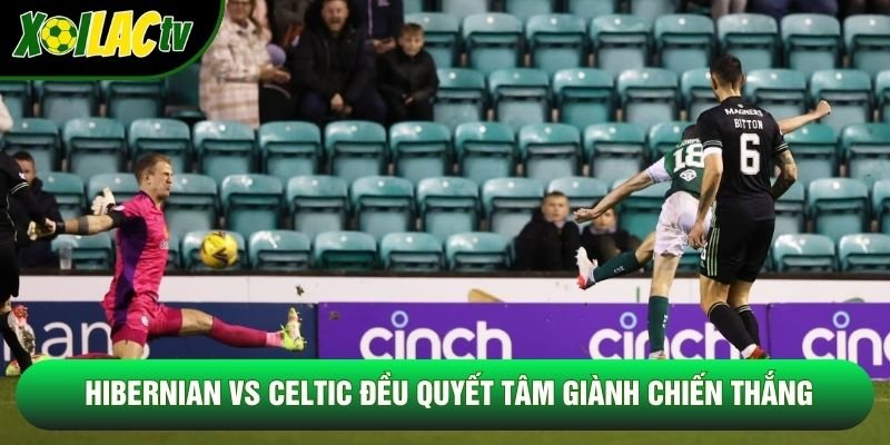 Hibernian vs Celtic đều quyết tâm giành chiến thắng Hibernian vs Celtic đều quyết tâm giành chiến thắng