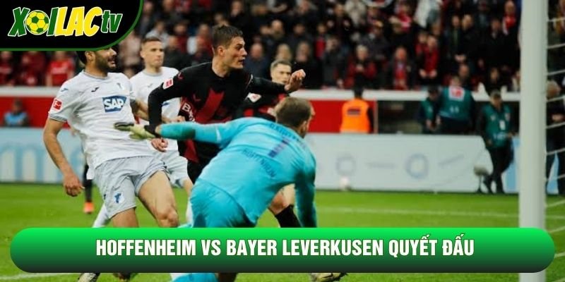 Hoffenheim vs Bayer Leverkusen quyết đấu Hoffenheim vs Bayer Leverkusen quyết đấu