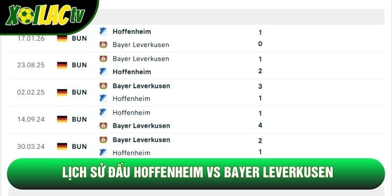 Lịch sử đấu Hoffenheim vs Bayer Leverkusen Lịch sử đấu Hoffenheim vs Bayer Leverkusen