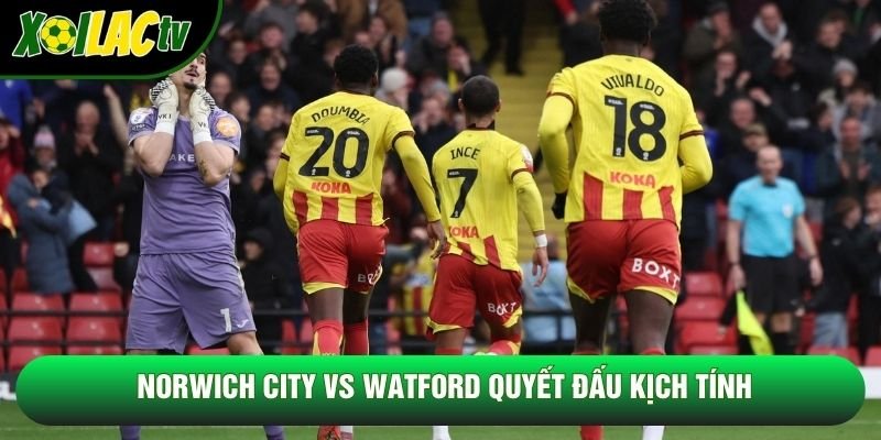 Norwich City vs Watford quyết đấu kịch tính Norwich City vs Watford quyết đấu kịch tính