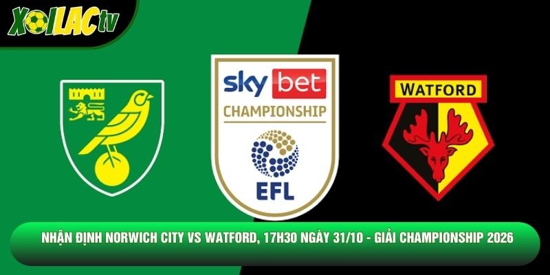 Nhận Định Norwich City Vs Watford, 17h30 Ngày 31/10 - Giải Championship 2026