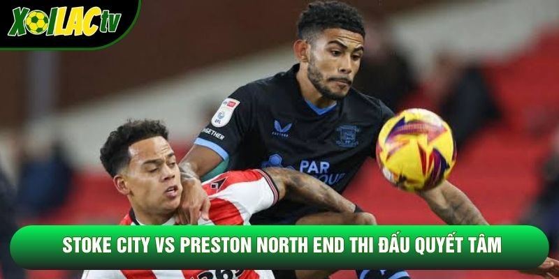 Stoke City vs Preston North End thi đấu quyết tâm Stoke City vs Preston North End thi đấu quyết tâm