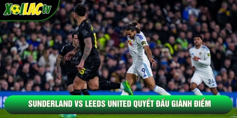 Sunderland vs Leeds United quyết đấu giành điểm Sunderland vs Leeds United quyết đấu giành điểm