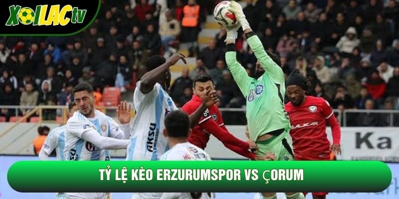 Tỷ lệ kèo Erzurumspor vs Çorum Tỷ lệ kèo Erzurumspor vs Çorum