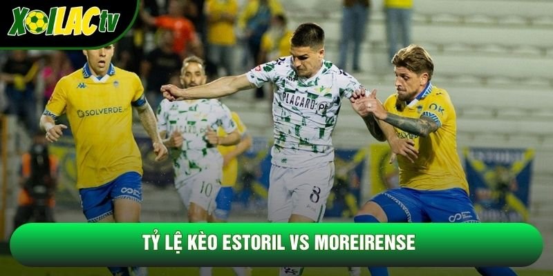 Tỷ lệ kèo Estoril vs Moreirense Tỷ lệ kèo Estoril vs Moreirense