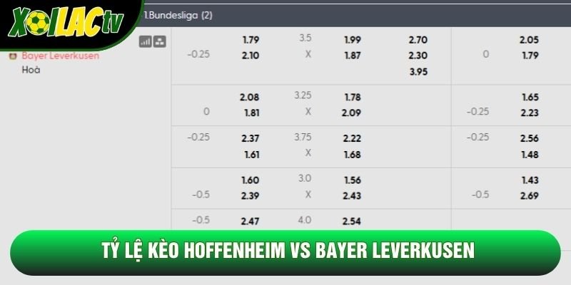Tỷ lệ kèo Hoffenheim vs Bayer Leverkusen Tỷ lệ kèo Hoffenheim vs Bayer Leverkusen