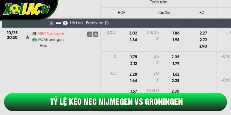 Tỷ lệ kèo NEC Nijmegen vs Groningen Tỷ lệ kèo NEC Nijmegen vs Groningen