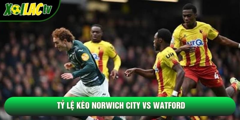Tỷ lệ kèo Norwich City vs Watford Tỷ lệ kèo Norwich City vs Watford