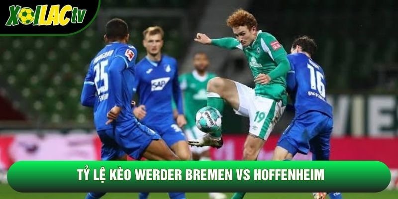 Tỷ lệ kèo Werder Bremen vs Hoffenheim Tỷ lệ kèo Werder Bremen vs Hoffenheim