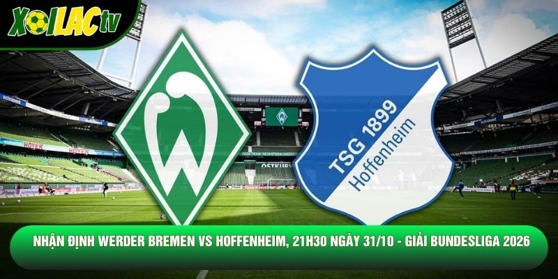 Nhận Định Werder Bremen Vs Hoffenheim, 21h30 Ngày 31/10 - Giải Bundesliga 2026